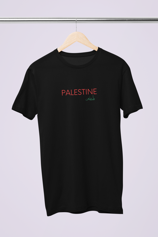 T-SHIRT FALASTIN